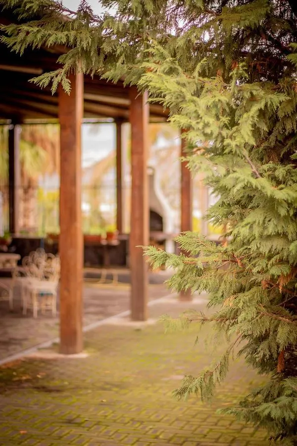 Bed & Breakfast Kalinka Bed & Breakfast Motta Sant' Anastasia
