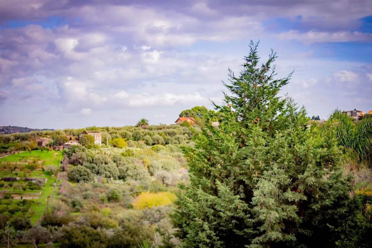 Bed & Breakfast Kalinka Bed & Breakfast Motta Sant' Anastasia Italy